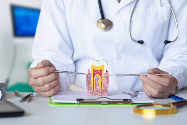 Best Root Canal Emergency Dentist  in Maineville, OH